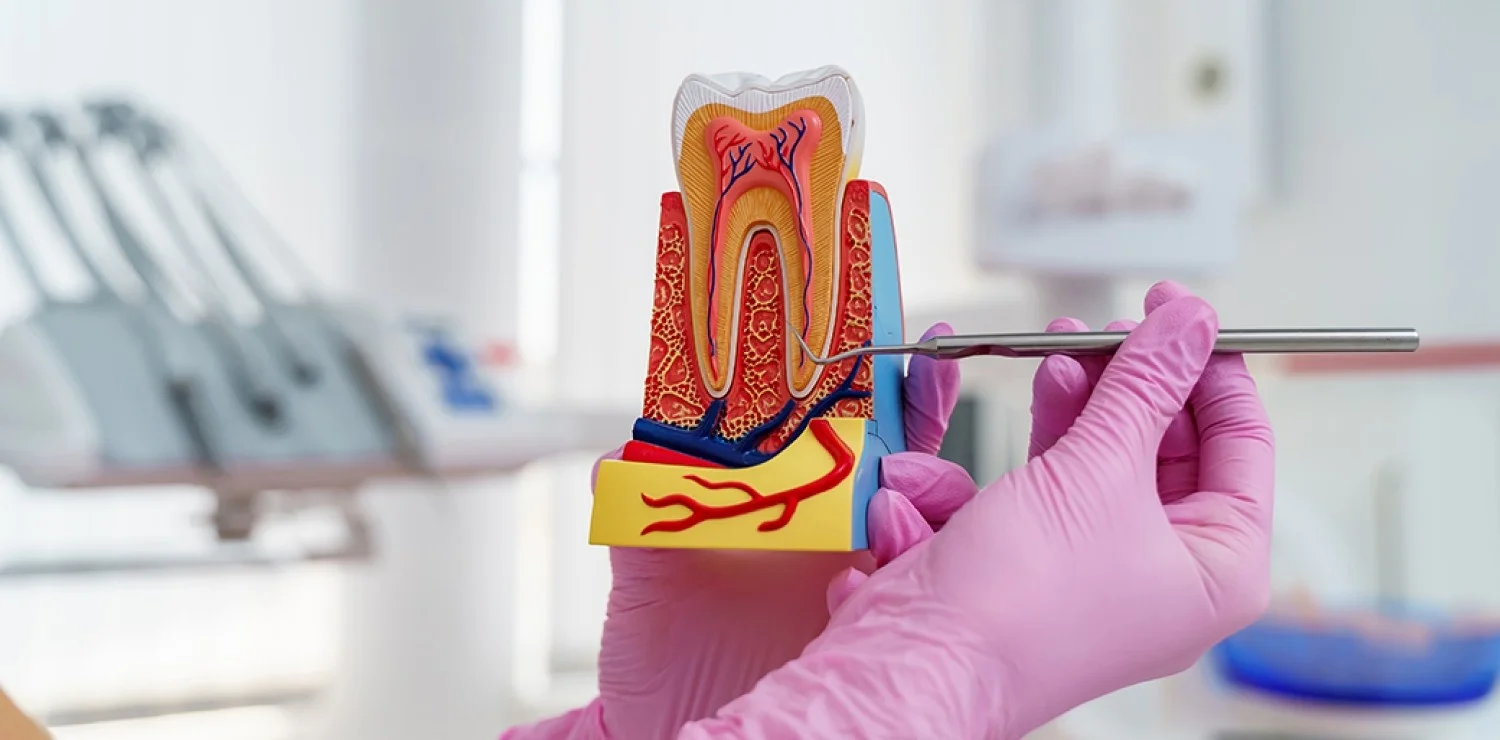Close-up of a high-quality dental care procedure